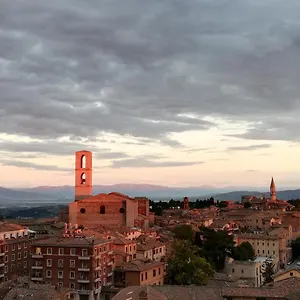 La Fragola Viola Perugia